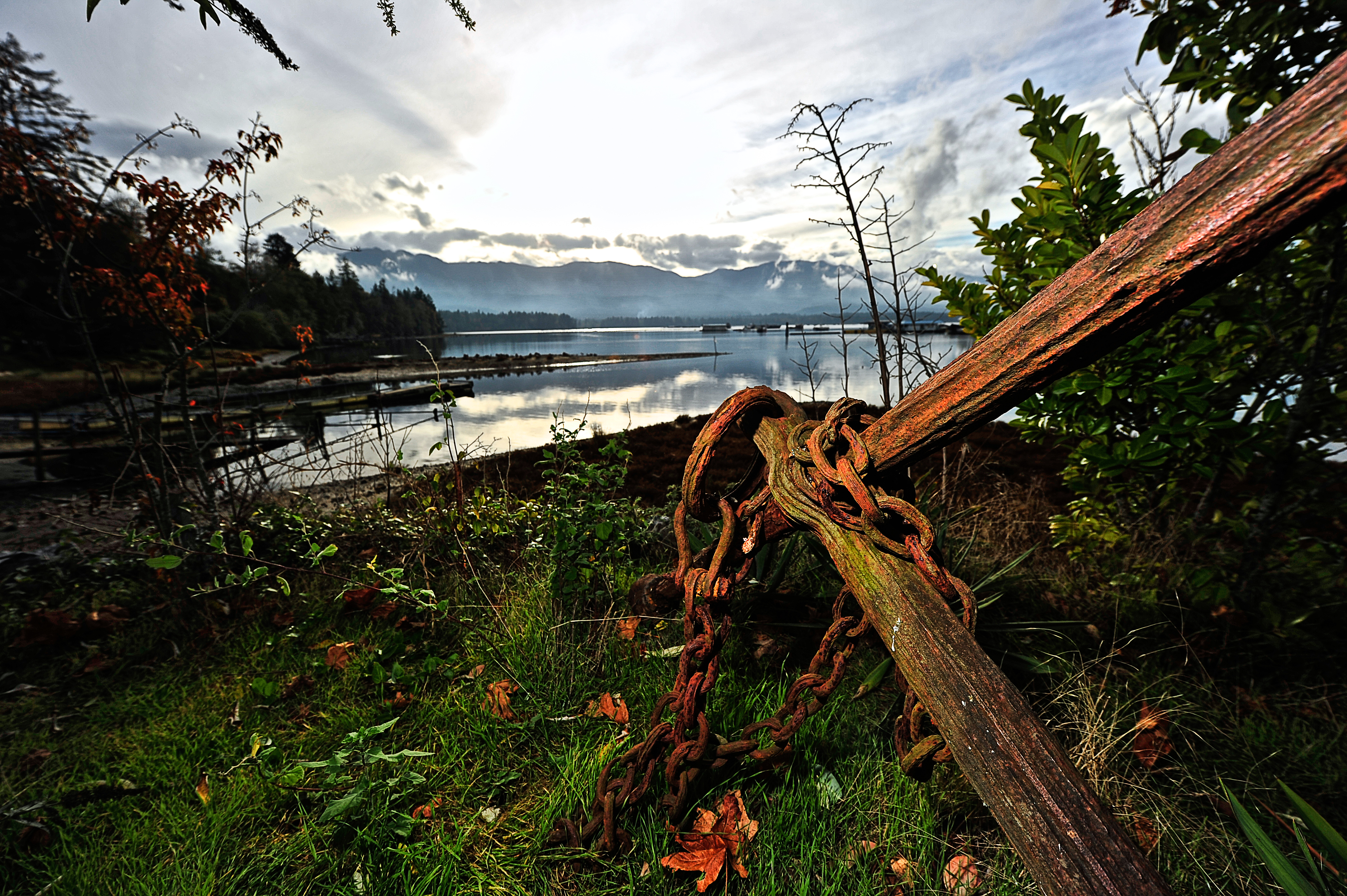 All About Qualicum North